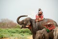 Elephant family hapiness with water after Ordination parade on